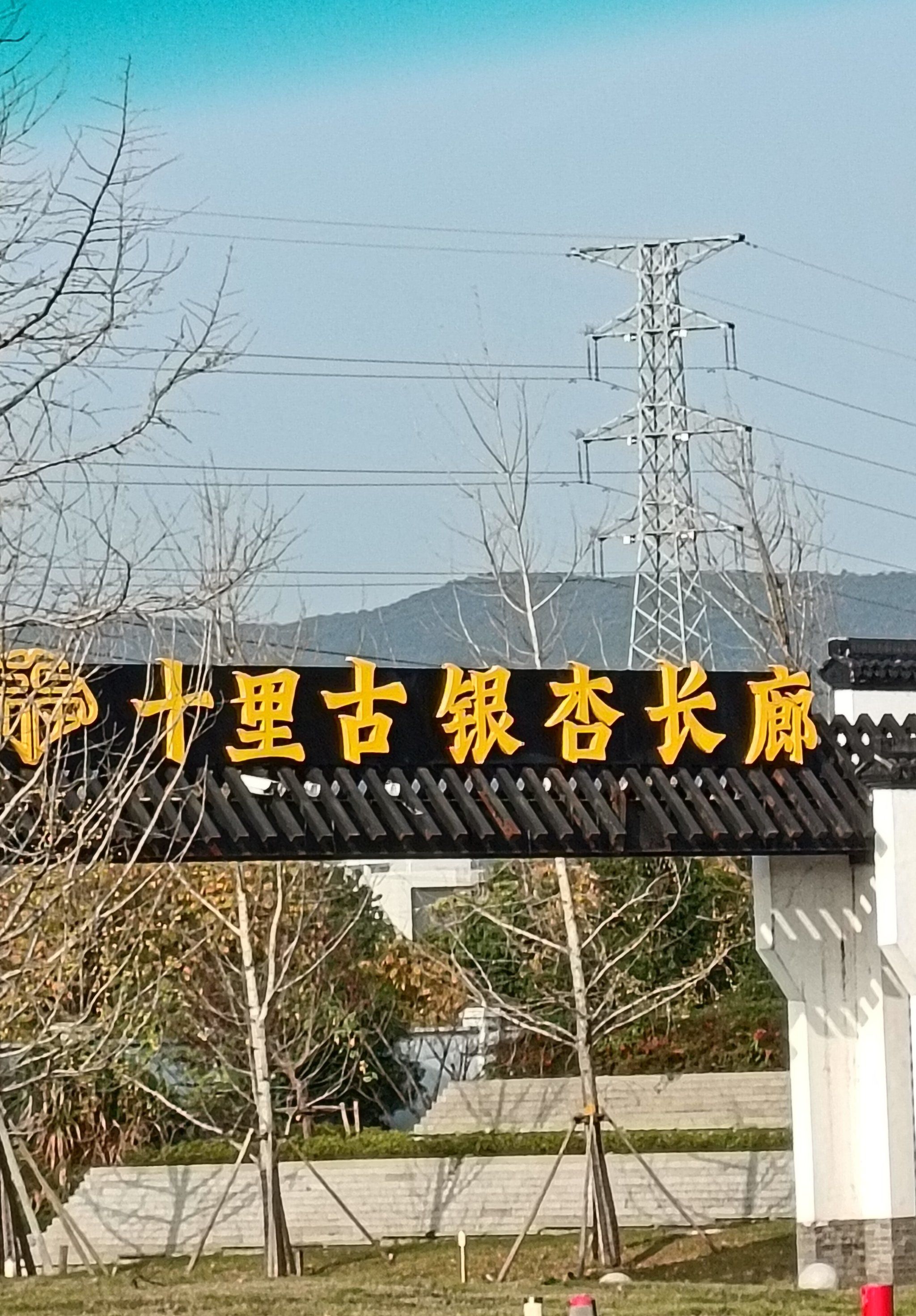 湖州长兴八都岕十里古银杏长廊