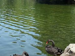 -西郊宾馆·1921餐厅