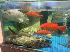 -聚福宝合苑食府(南头镇店)