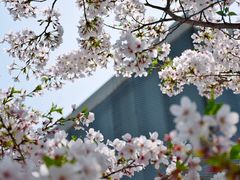 -龙美术馆(西岸馆)