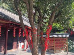 -卓刀泉寺