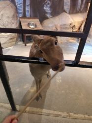 -酷嗒动物文化乐园(cutezoo西溪乐天城店)