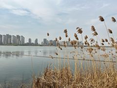 -华山风景名胜区