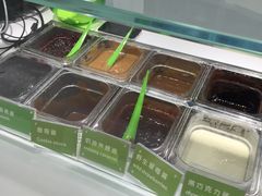 -Salud撒露欧洲冻酸奶(北苑上品店)