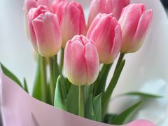 -小潘蛋糕坊 板桥和平店