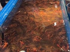 -星伦多自助料理(花山金鹰店)