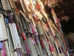 景点-成都大熊猫繁育研究基地