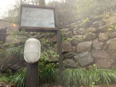 -宁海森林温泉