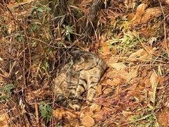 -狼山风景名胜区