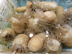 -星龙海鲜(望江东路店)