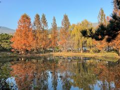 -国家植物园南园