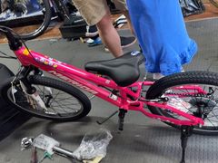 -道路口单车爱瓦士dahon大行