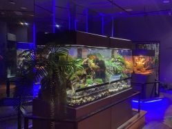 -未来动物城主题公园(正弘城店)