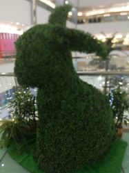 -莫莉幻想儿童乐园(沈阳龙之梦大都汇店)