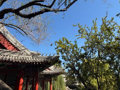 -莲池书院博物馆