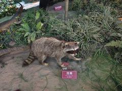 -陕西自然博物馆