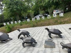 -广东惠东海龟国家级自然保护区