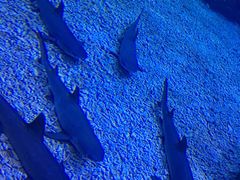 -多彩贵州城极地海洋世界