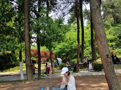 -铁山坪森林公园