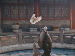 -西安大兴善寺