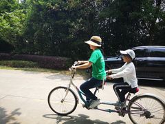 -太阳岛度假酒店