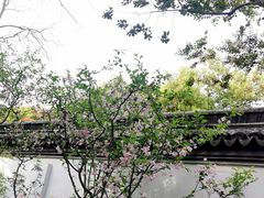 -秋霞圃