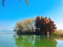 -贡湖湾湿地公园