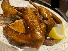乳鸽-新海利(北岭店)
