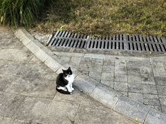 -北京中信金陵酒店