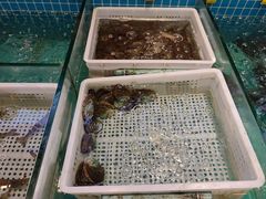 -妈妈菜舟山海鲜(定海古城店)