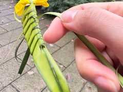 -南山植物园