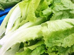 生菜-吉品莞家·鲍鱼鸡煲(东莞店)