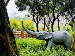 -晓港公园