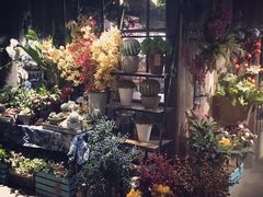 -范设计花园餐酒咖·中西餐·咖啡厅·酒馆