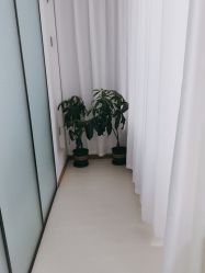 -薇兰专业脱毛连锁机构