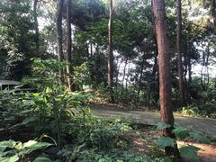 -铁山坪森林公园