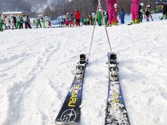 -亚布力新体委滑雪场