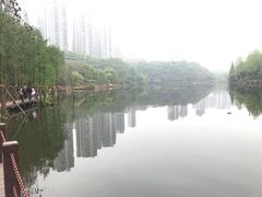 -重庆彩云湖湿地公园