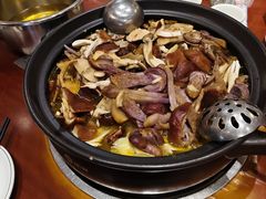 -菌之家·专业纯野生菌火锅·特色炒菌