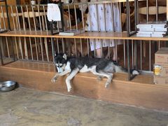 -萌喵咖啡屋(人民东路4号口M16商铺店)