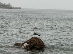 -星海广场