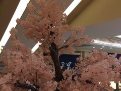 -汤里来温泉