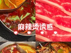-滇牛云南火锅(桂林路店)