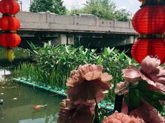 -晓琦农家菜馆·地道农家菜