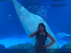 -海合安成都极地海洋公园