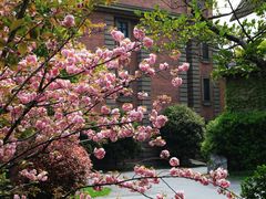 瑞金宾馆-上海瑞金洲际酒店