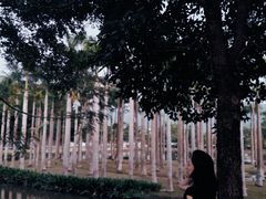 -北京师范大学(珠海校区)