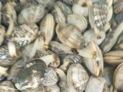 -宾朋海鲜特色美食餐厅·纯手工鲅鱼水饺(兴海路店)