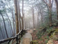 -梧桐山风景名胜区