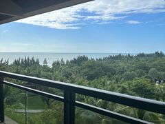 -海南清水湾莱佛士酒店